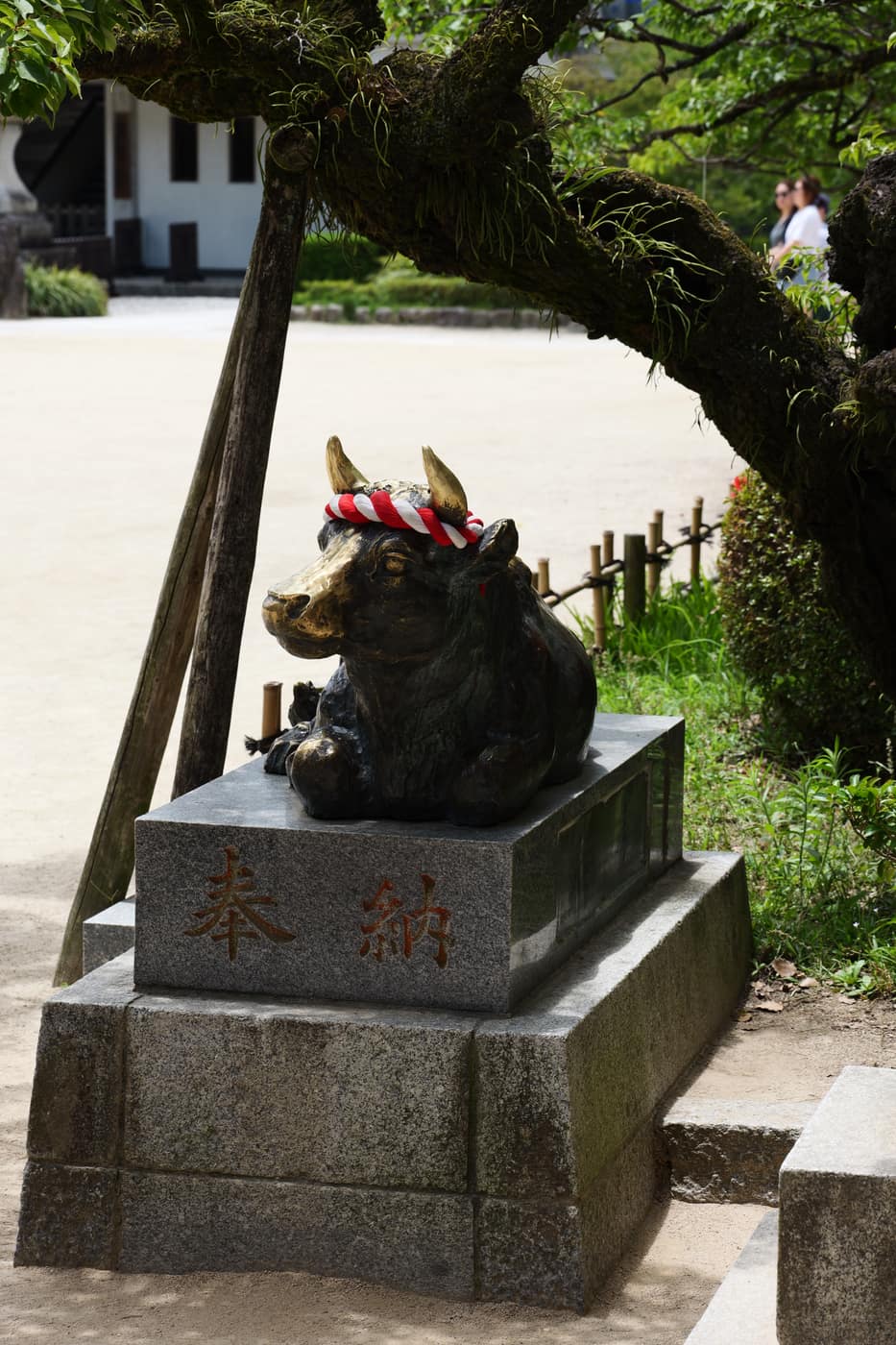 奉納の牛